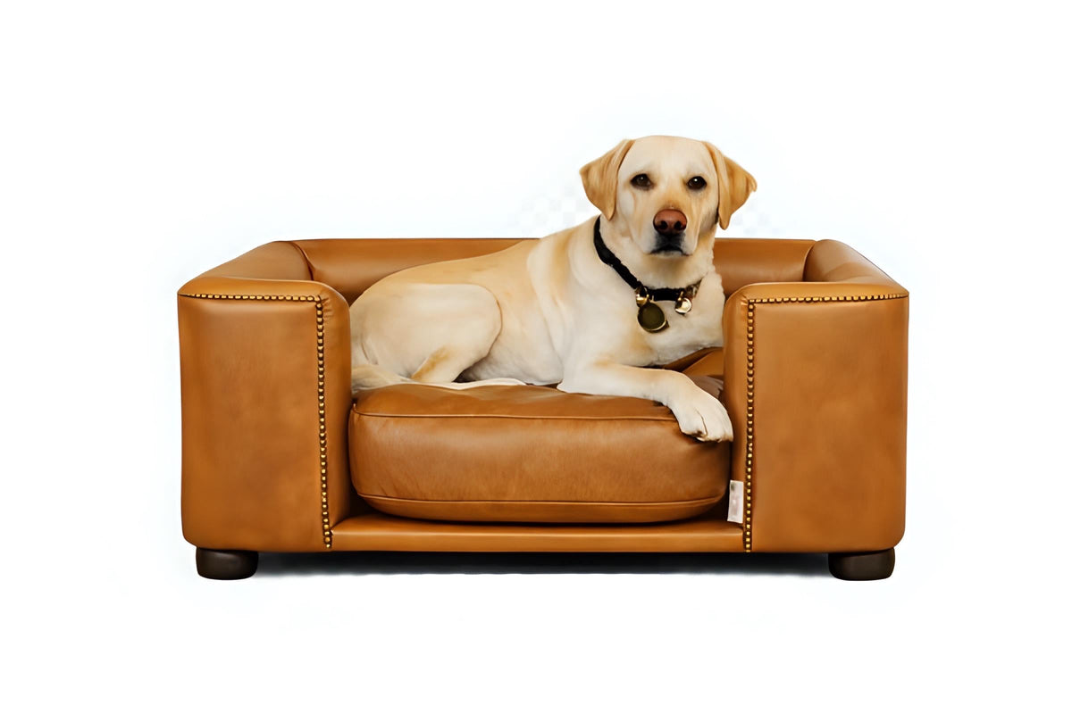 Handmade Italian Leather Dog Bed, Raised Wooden Luxury Pet Sofa, UK Made Designer Dog Furniture, Vintage Leather Dog Couch