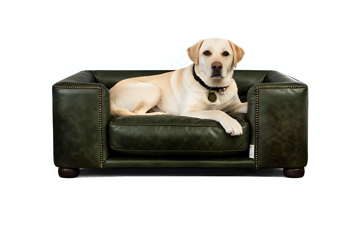 Handmade Italian Leather Dog Bed, Raised Wooden Luxury Pet Sofa, UK Made Designer Dog Furniture, Vintage Leather Dog Couch