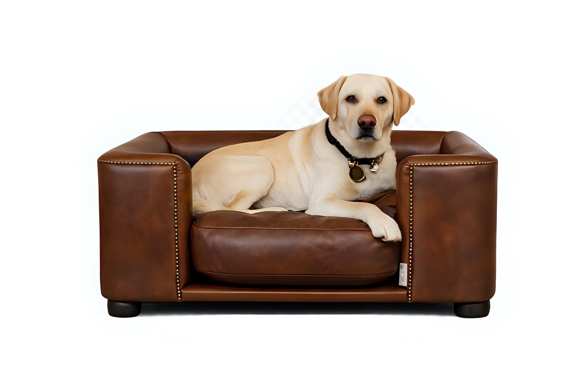 Handmade Italian Leather Dog Bed, Raised Wooden Luxury Pet Sofa, UK Made Designer Dog Furniture, Vintage Leather Dog Couch