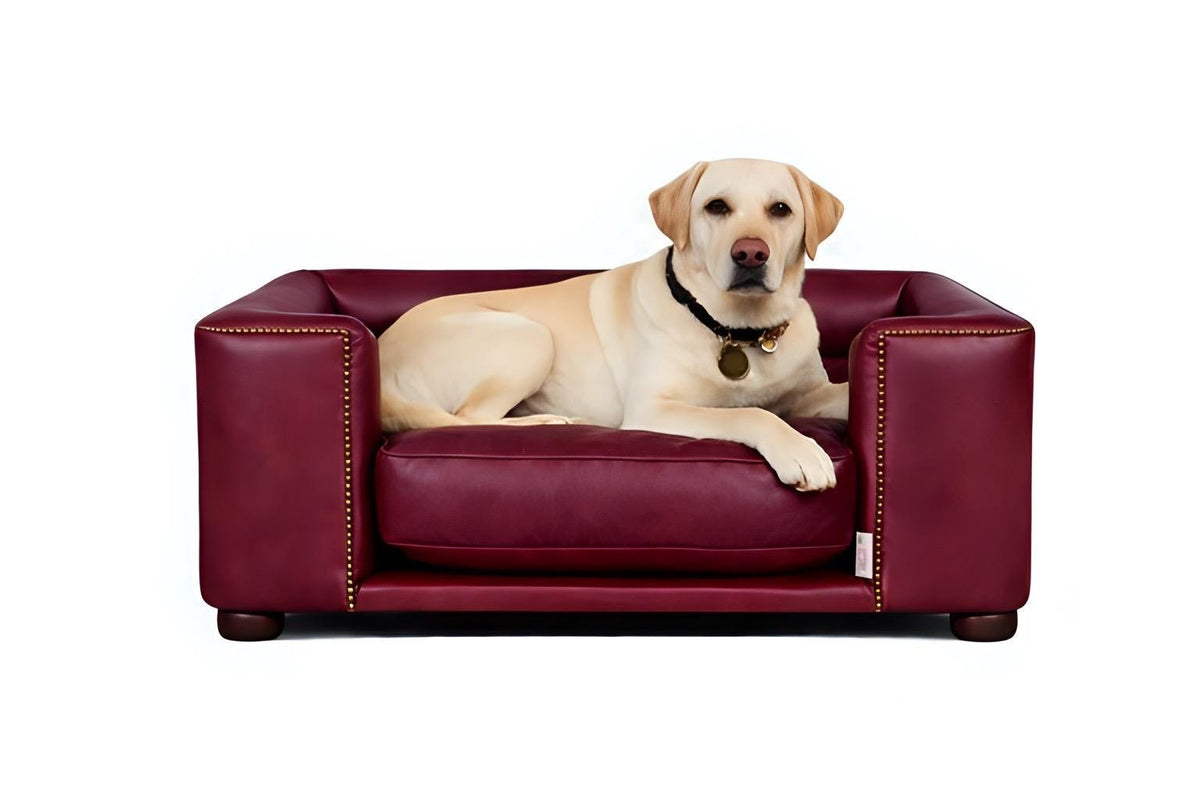 Handmade Italian Leather Dog Bed, Raised Wooden Luxury Pet Sofa, UK Made Designer Dog Furniture, Vintage Leather Dog Couch