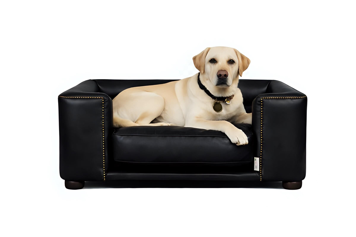 Handmade Italian Leather Dog Bed, Raised Wooden Luxury Pet Sofa, UK Made Designer Dog Furniture, Vintage Leather Dog Couch