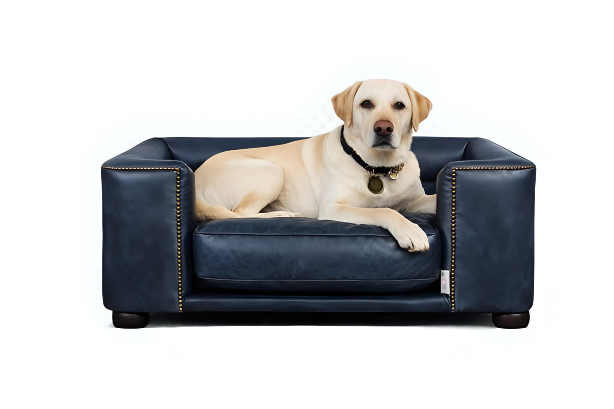 Handmade Italian Leather Dog Bed, Raised Wooden Luxury Pet Sofa, UK Made Designer Dog Furniture, Vintage Leather Dog Couch