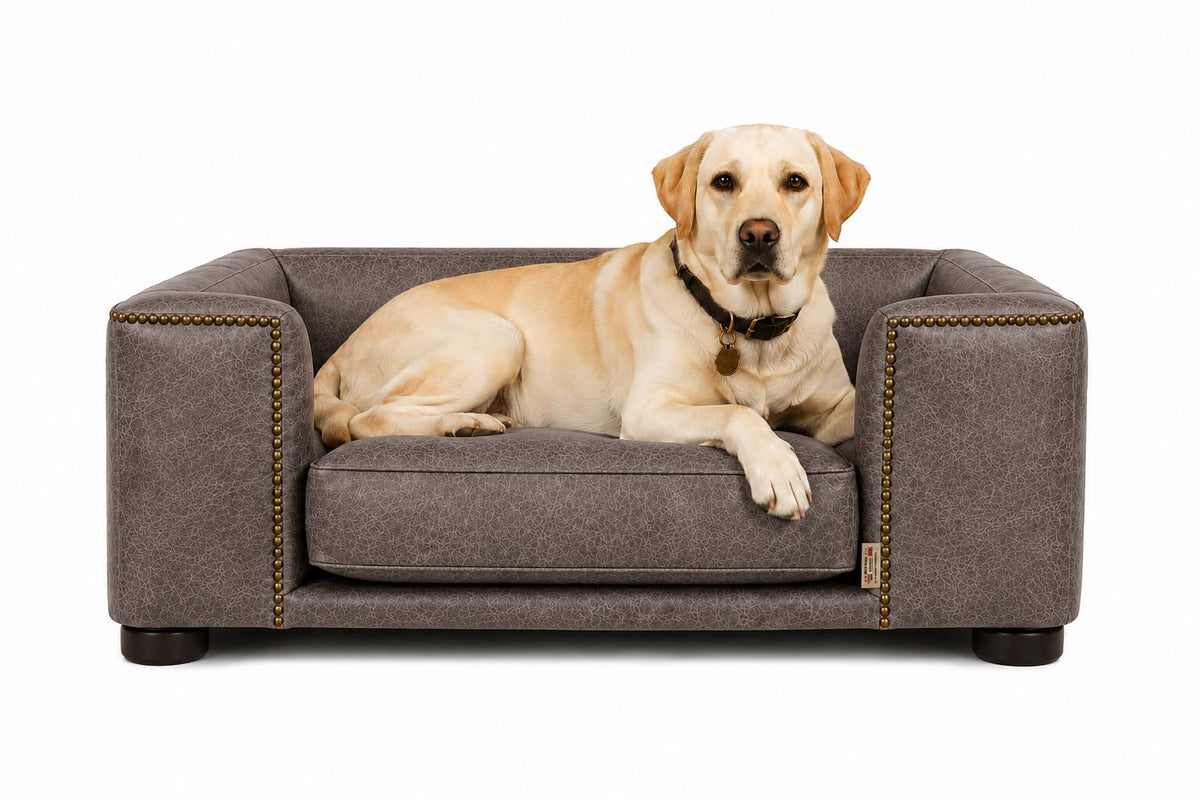 Handmade Italian Leather Dog Bed, Raised Wooden Luxury Pet Sofa, UK Made Designer Dog Furniture, Vintage Leather Dog Couch