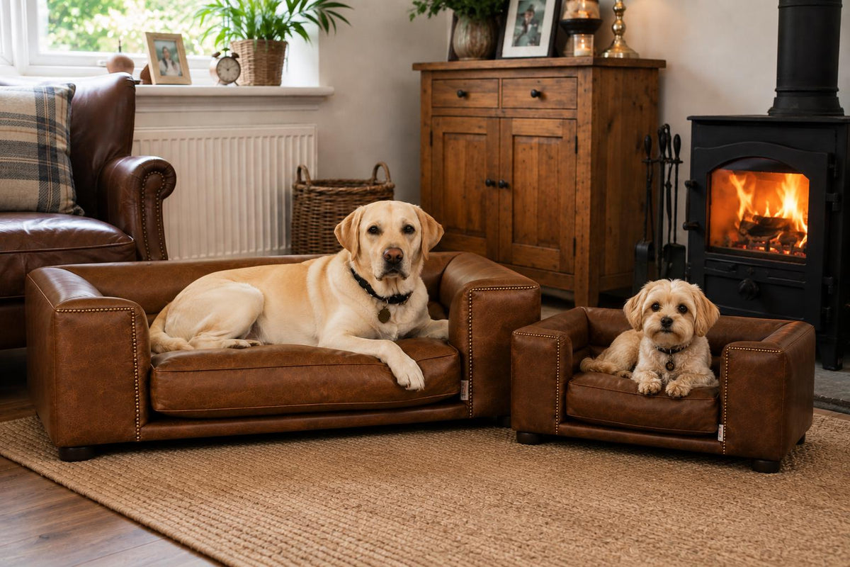 Handmade Italian Leather Dog Bed, Raised Wooden Luxury Pet Sofa, UK Made Designer Dog Furniture, Vintage Leather Dog Couch